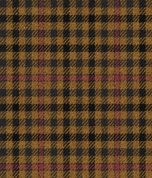 [451117] BROWN, CHECKS