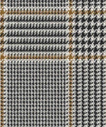 [451118] TAN, CHECKS