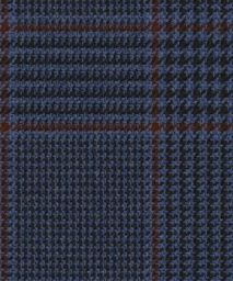 [451119] BLUE, CHECKS