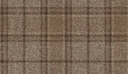 [451129] BROWN, CHECKS