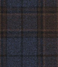 [451130] BLUE, CHECKS