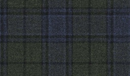 [451131] GREEN, CHECKS
