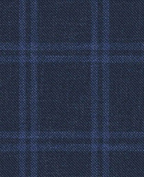 [451134] BLUE, CHECKS
