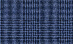 [451136] BLUE, CHECKS