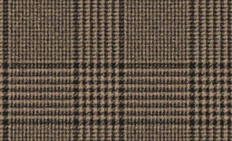 [451138] BROWN, CHECKS