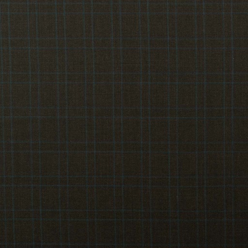 [352904] BROWN, BLUE CHECKS