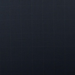 [352907] BLUE, CHECKS