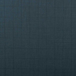 [352920] BLUE, CHECKS