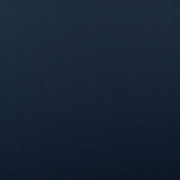 [352921] DARK BLUE, CHECKS