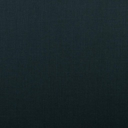 [352960] BLUE, PLAIN