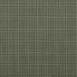 [353001] GREY, CHECKS
