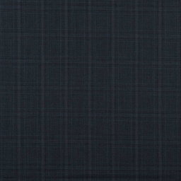 [353004] BLUE, CHECKS