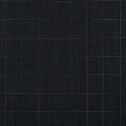[353005] BLUE, CHECKS