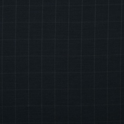 [353015] BLUE, CHECKS