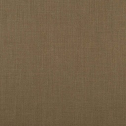 [353024] BROWN, PLAIN