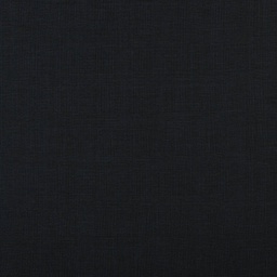 [353041] BLUE, CHECKS