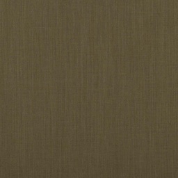[353055] BROWN, PLAIN