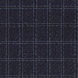 [318023] BLUE, CHECKS (DR# 60023)
