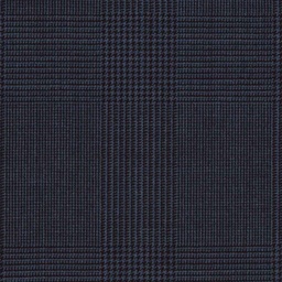 [318027] BLUE, CHECKS (DR# 60027)