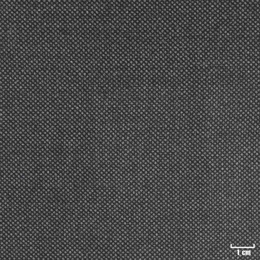 [318051] GREY, BIRDEYE (DR# 60051)