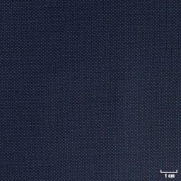[318053] DARK BLUE, BIRDEYE (DR# 60053)