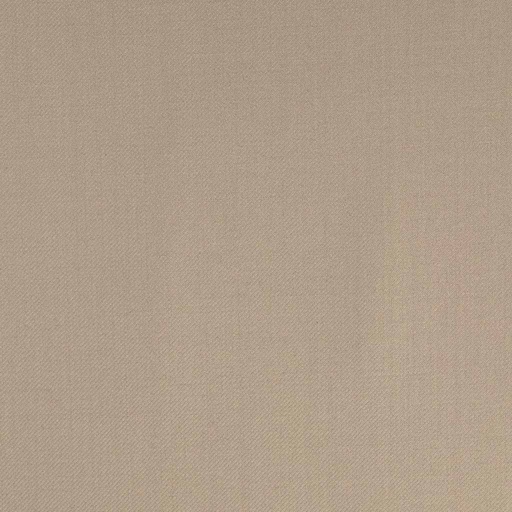 [318067] TAN, PLAIN (DR# 60067)