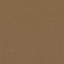 [318070] YELLOW, PLAINE (DR# 60070)