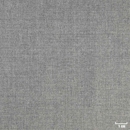[318083] GREY, PLAIN (DR# 60083)