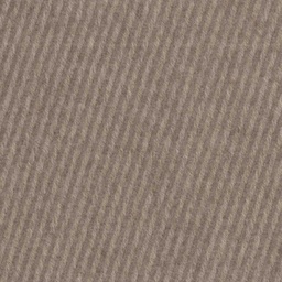 [318209] TAN, PLAIN (DR# 80109)