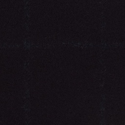 [318236] DARK BLUE, CHECKS (DR# 80136)