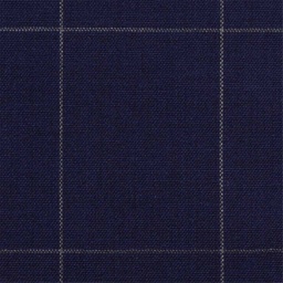 [405406] BLUE, CHECKS