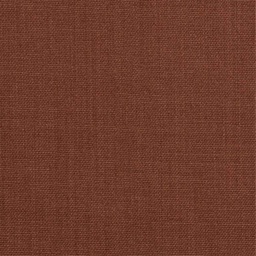[405428] LIGHT BROWN, PLAIN