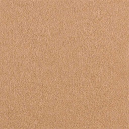 [405619] BROWN, PLAIN