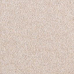 [405626] TAN, PLAIN