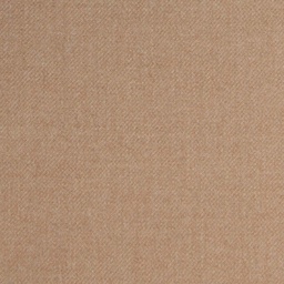[405529] CAMEL, PLAIN
