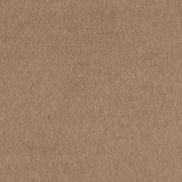 [405636] CAMEL, PLAIN
