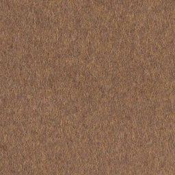 [405638] BROWN, PLAIN