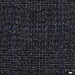 [213201] GREY, BLUE CHECKS