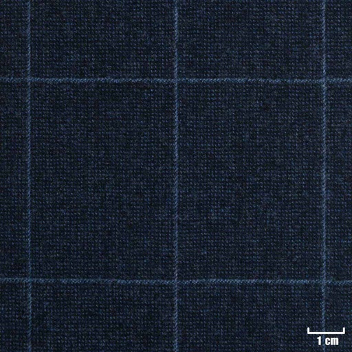 [213210] BLUE, BLUE CHECKS