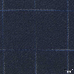 [213212] BLUE, CHECKS