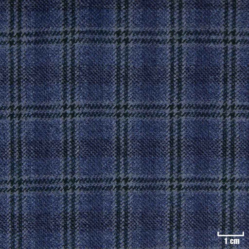 [225056] BLUE, CHECKS