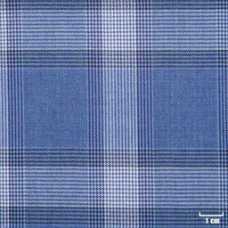 [213837] BLUE, WHITE CHECKS