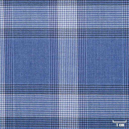 [213837] BLUE, WHITE CHECKS