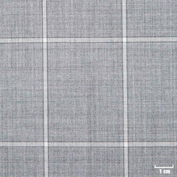 [213842] GREY, CHECKS