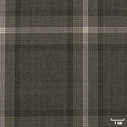 [213852] GREEN, BIG CHECKS