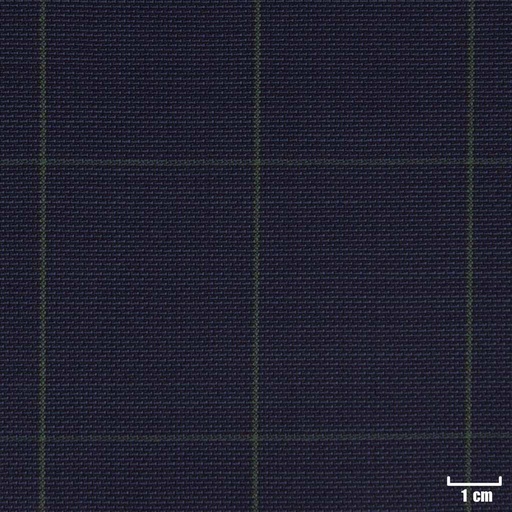 [213865] BLUE, GREEN CHECKS