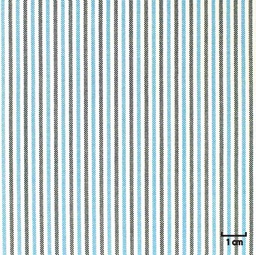 [227812] WHITE/BLUE, STRIPE