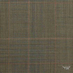 [227818] BROWN,CHECKS