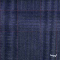 [227819] BLUE,CHECKS