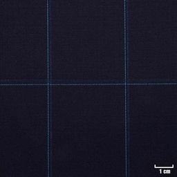 [227859] NAVY,CHECKS